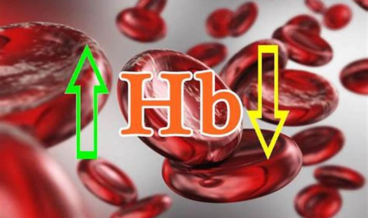 Cara Mengatasi Hb Rendah: Panduan Lengkap Untuk Meningkatkan Kadar Hemoglobin Dalam Tubuh Cara Mengatasi Hb Rendah: Panduan Lengkap Untuk Meningkatkan Kadar Hemoglobin Dalam Tubuh